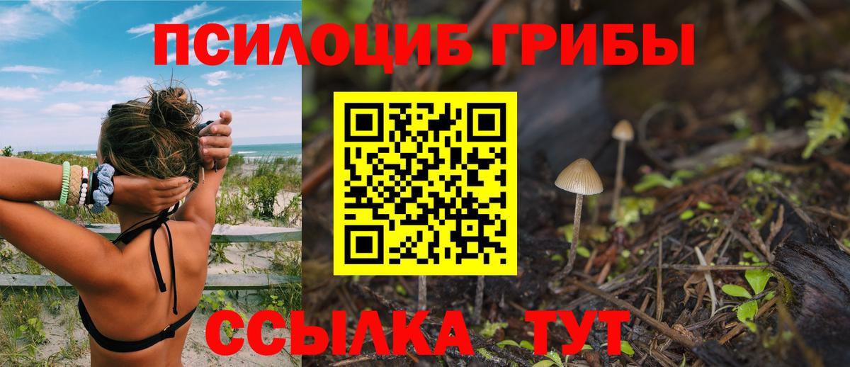 Псилоцибиновые грибы Psilocybine cubensis Сунжа